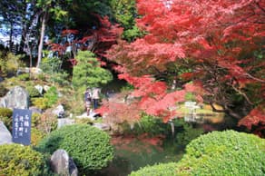 京都　金戒光明寺の紫雲の庭
