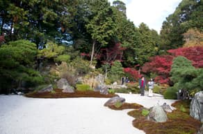 京都　金戒光明寺の紫雲の庭