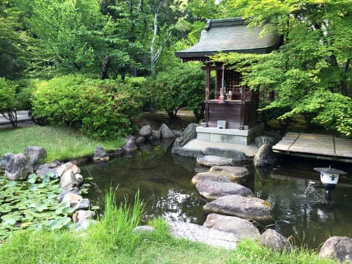 京都　広隆寺境内の弁天池と弁天社