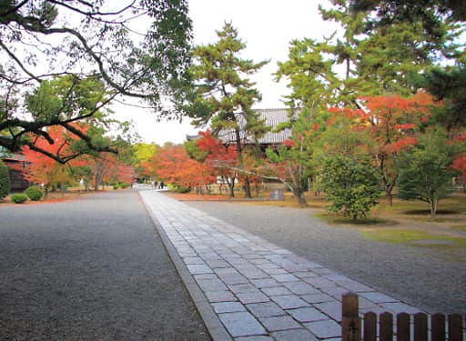 京都　広隆寺の広い境内