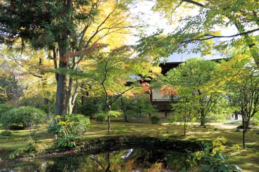 京都　広隆寺境内の霊宝殿前庭