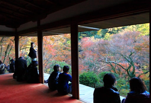 京都　高山寺の石水院からの紅葉
