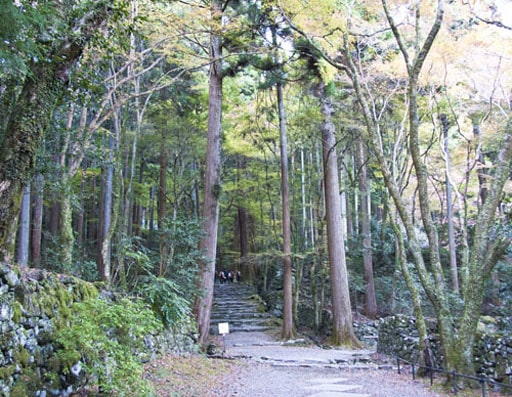 京都　高山寺境内へ