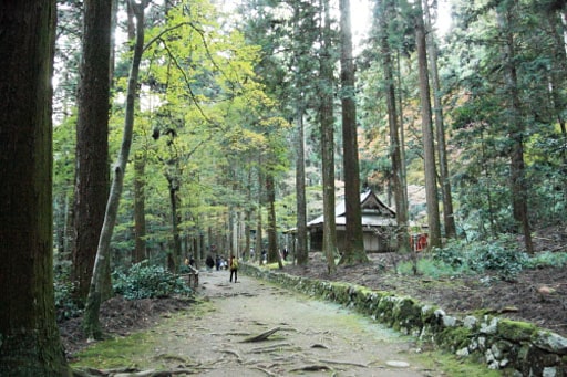 京都　高山寺の木立の中に建つ金堂