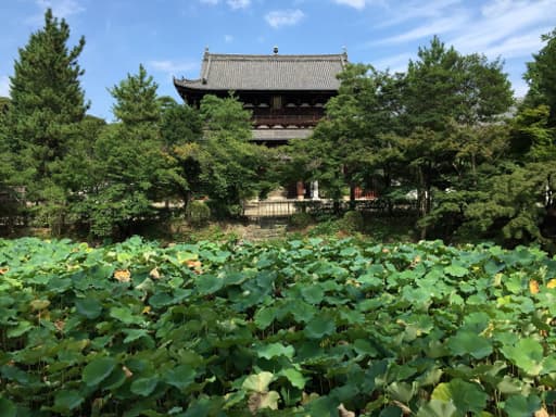 京都　萬福寺の放生池と山門