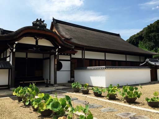 京都　萬福寺の松隠堂（しょういんどう）