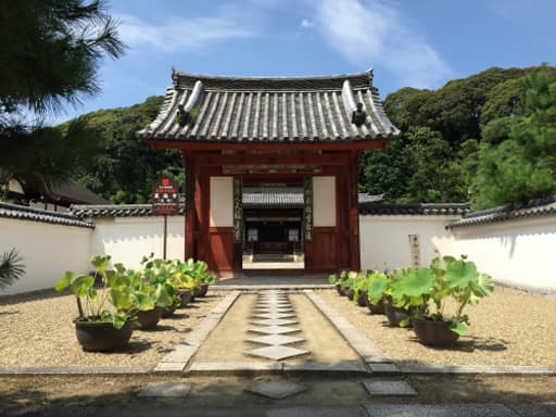 京都　萬福寺の通玄門