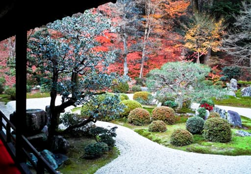 京都　曼殊院の庭園に造営された亀島と梟（ふくろう）の手水鉢