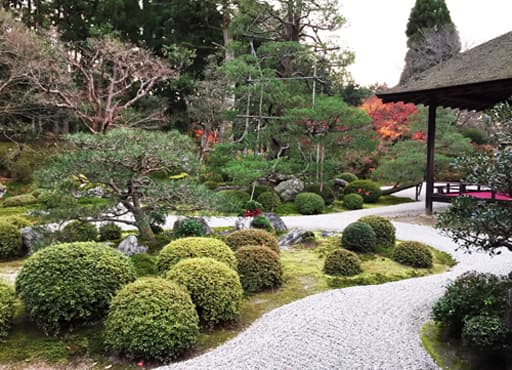 京都　曼殊院の庭園に造営された亀島（奥に見えるのが鶴島）
