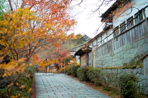 京都　曼殊院の山門への石畳