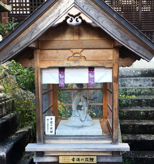 京都　松尾大社境内の幸運の双鯉