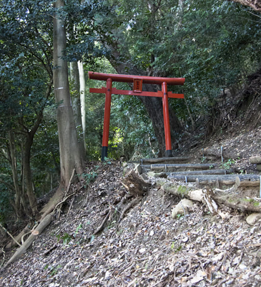京都　松尾大社境内の磐座への道