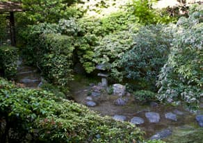 京都　妙心寺の塔頭、桂春院 思惟の庭