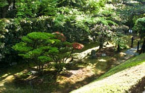 京都　妙心寺の塔頭、桂春院 真如の庭