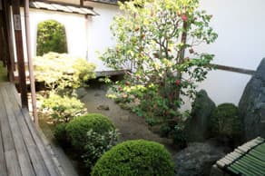 京都　妙心寺の塔頭、桂春院 清浄の庭