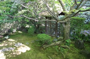 京都　妙心寺の塔頭、桂春院 侘の庭