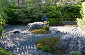 京都　妙心寺の塔頭、退蔵院（たいぞういん）陰の庭