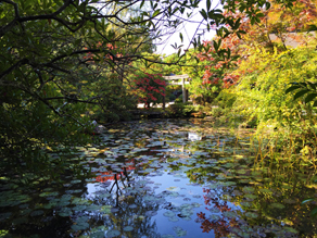 京都　南禅寺の塔頭、金地院・弁天池