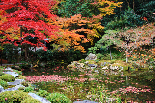 京都　南禅寺境内の南禅院の池泉回遊式庭園