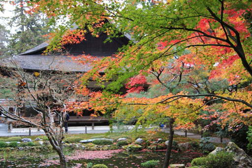 京都　南禅寺境内の南禅院庭園
