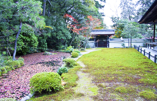 京都　南禅寺境内の南禅院の庭園