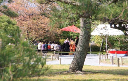 京都　二条城の清流園でのお茶会風景