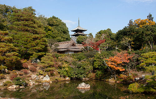 仁和寺 | 京都の時空に舞った風