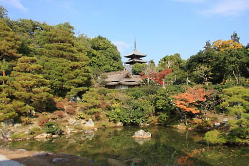 京都　仁和寺、御殿の北庭