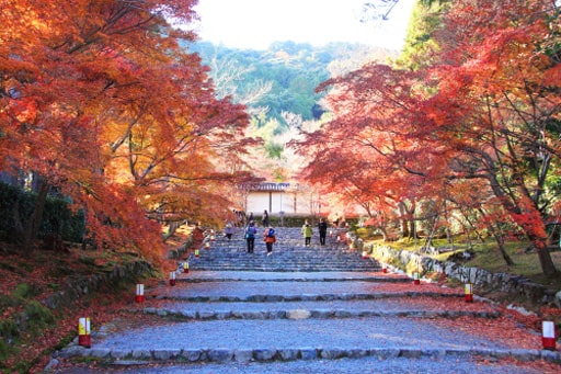 京都　嵯峨野にある二尊院の「もみじの馬場」