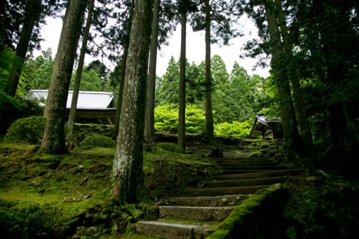 京都大原　来迎院の石段をさらに上がる