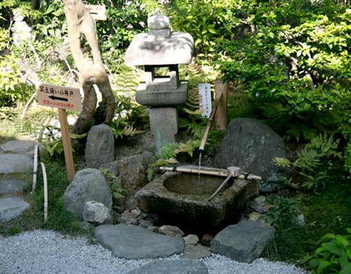 六道珍皇寺の庭に引かれる黄泉返りの水