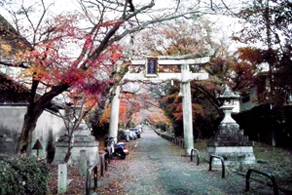 京都　曼殊院近くの鷺森神社（さぎのもりじんじゃ）の表参道