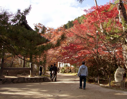 京都　西明寺の境内