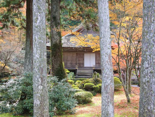 京都大原にある三千院境内の木立の中に建つ往生極楽院