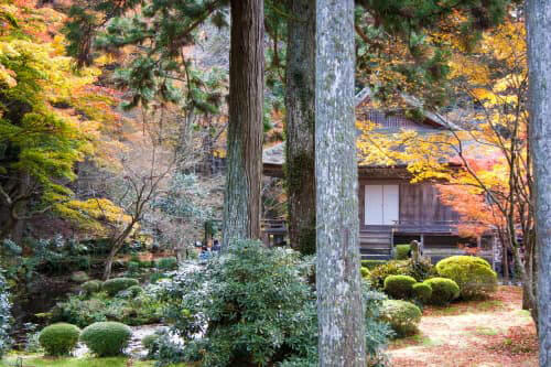 京都大原三千院の境内に建つ往生極楽院