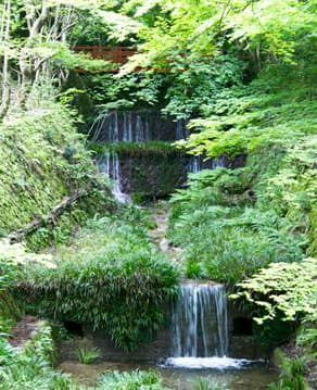 京都大原　三千院境内を流れる律川