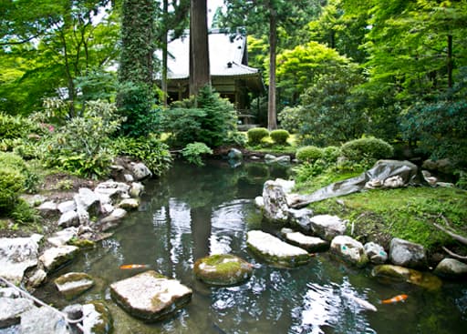 京都大原にある三千院境内の新緑と弁天池