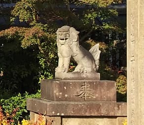 晴明神社の狛犬