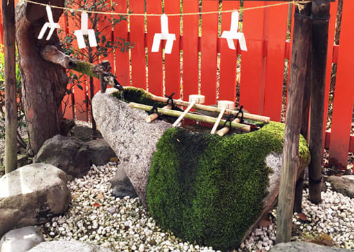 下鴨神社の第一摂社、河合神社　裏参道側の手水鉢