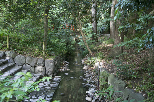 下鴨神社境内の奈良の小川