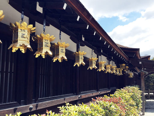 下鴨神社の吊下げ灯籠