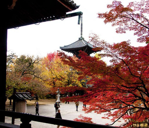 京都　真如堂（本堂）から見る三重塔