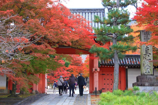 京都　真如堂の総門(赤門)