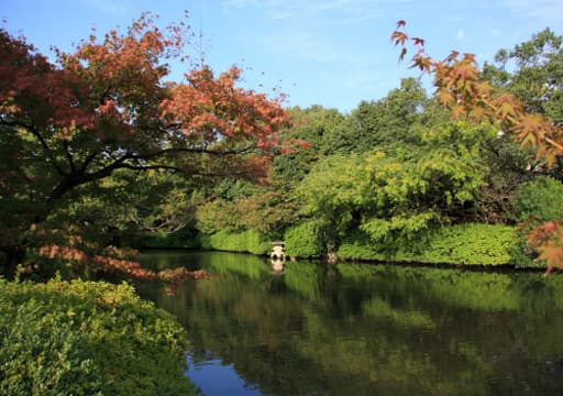 京都　神泉苑の法成就池