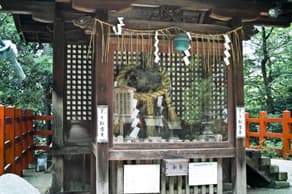 八大神社に祀られている一乗寺下り松の古株