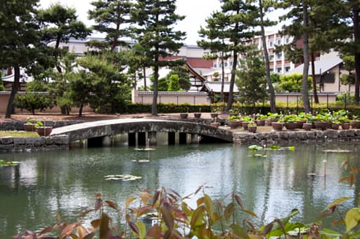京都　相国寺の放生池