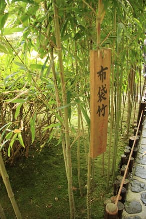 京都　鈴虫寺（華厳寺）の布袋竹
