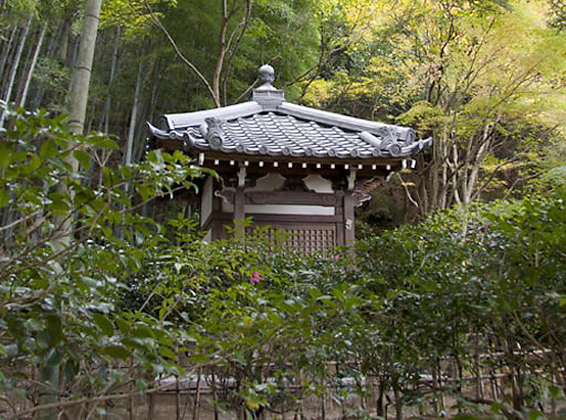 京都　滝口寺の小松堂