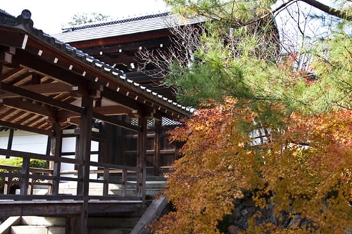京都嵯峨野　天龍寺の大方丈と法堂を結ぶ廊下