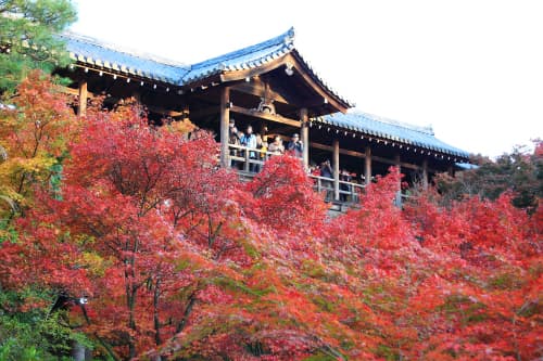 東福寺　京都随一・圧巻の紅葉と通天峡